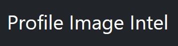 profileimageintel.com